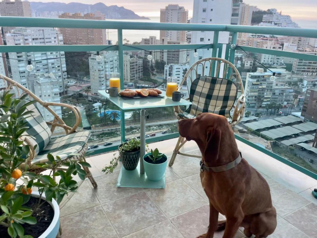 Traveler'S Beach Apartment With Sea View, Free Coffee & Parking Benidorm Esterno foto